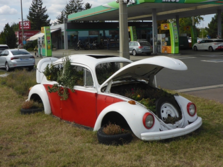 Carpathians (18) 
