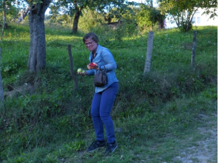 Carpathians (4) 