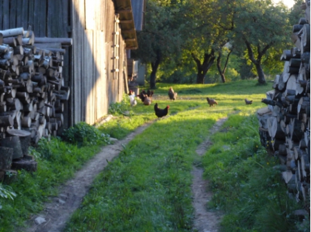 Carpathians (4) 