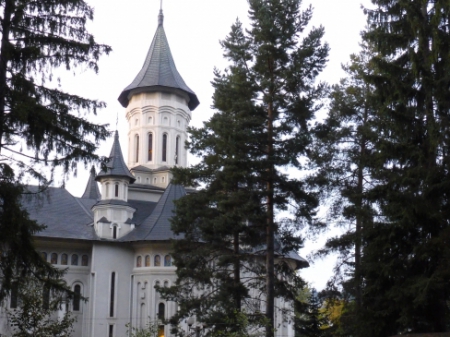 Carpathians (8) 