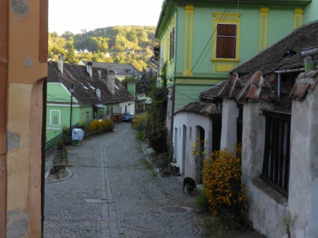 Carpathians (9) 