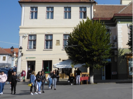 Carpathians (10) 