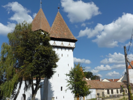 Carpathians (10) 