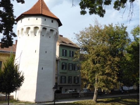 Carpathians (11) 