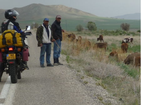 Dag 12 - Urgup > Sivas 