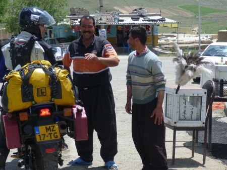 Dag 16 - Urmia > Saqqez 