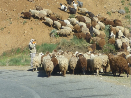 Dag 19 - Hamedan > Esfehan  