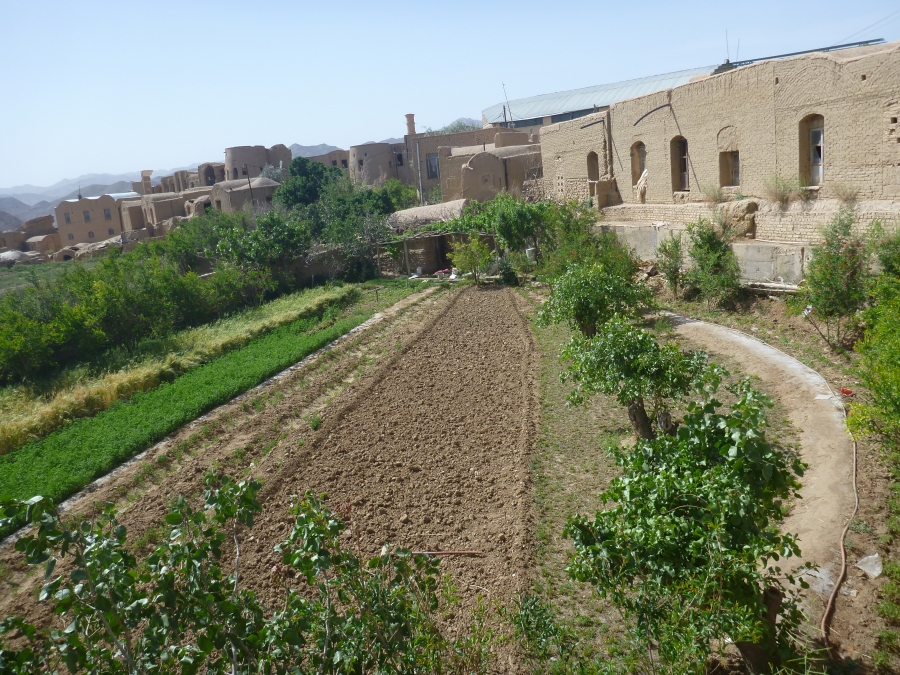 Dag 23 - Yazd > Tabas