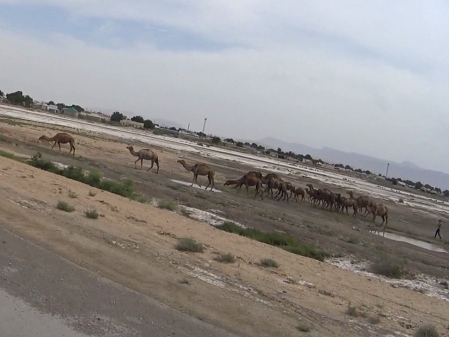 Dag 26 - Ashgabat > Mary 