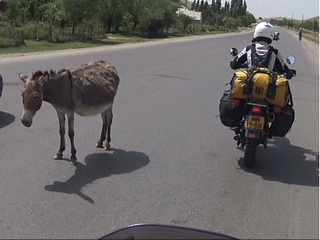 Dag 34 - Dushanbe > Kalaikum 
