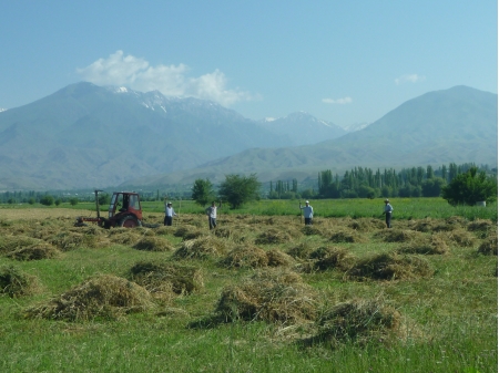 Dag 45 - Toktogul > Bishkek 