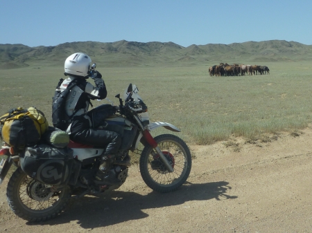 Dag 49 - Charyn Canyon > Zharkent 