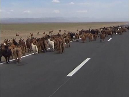 Dag 59 - Khovd > Altai 