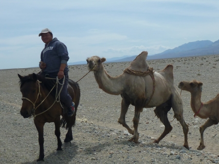 Dag 59 - Khovd > Altai 