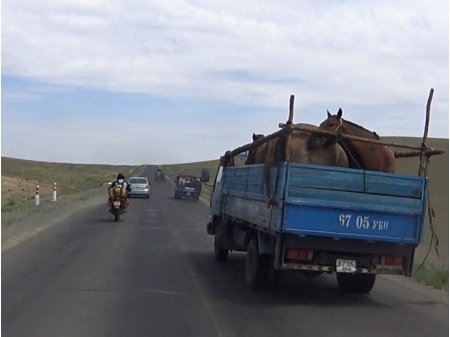 Dag 64 - Kharkhorin > Ulaanbataar 