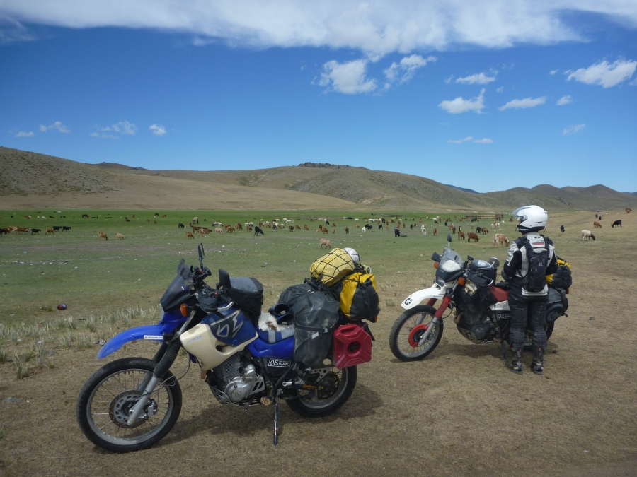 Dag 68 - Ulaanbataar > Darkhan