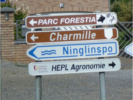 Dag 7 - Tenere Tour 