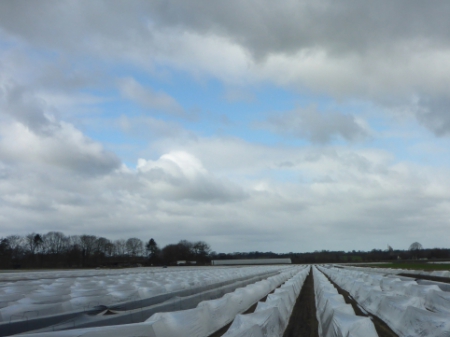 Met de camper door Nederland (3) 