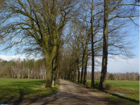Met de camper door Nederland (3) 