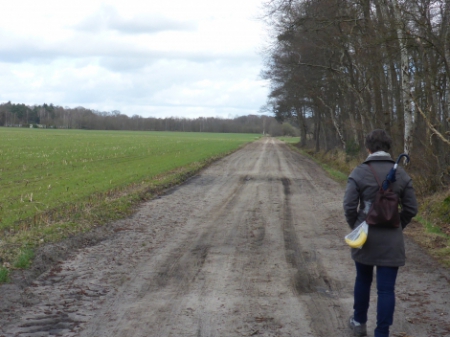 Met de camper door Nederland (4) 