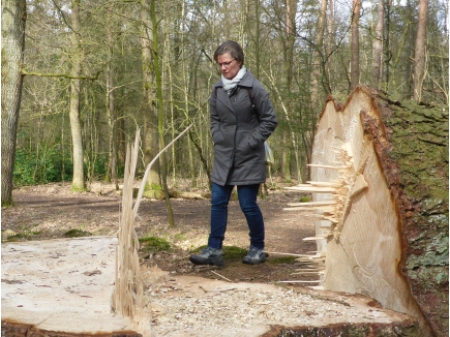 Met de camper door Nederland (4) 