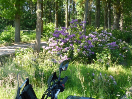 Nummer Een (1) 