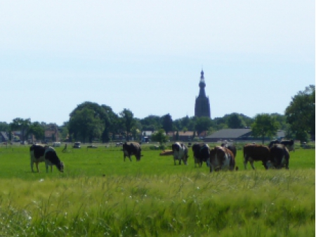 Nummer Een (2) 