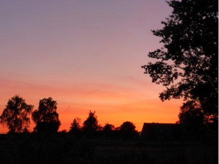 Nummer Een (2) 