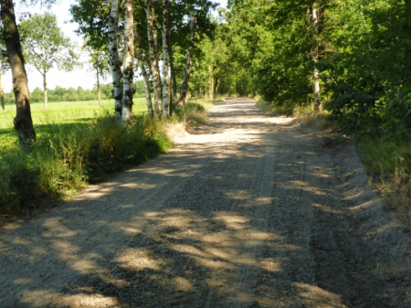 Nummer Een (3) 