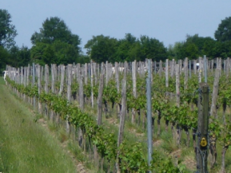 Nummer Een (4) 