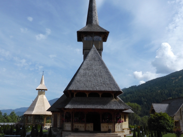 Carpathians (8)