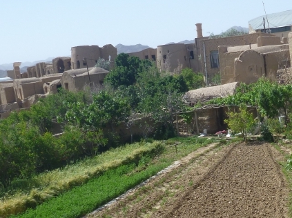 Dag 23 - Yazd > Tabas