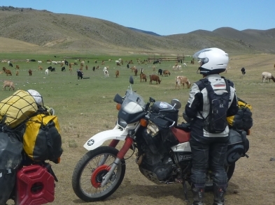 Dag 68 - Ulaanbataar > Darkhan
