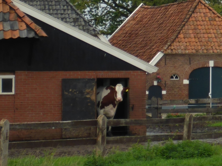 Wereldreis door Nederland (2) 