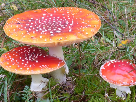 Wereldreis door Nederland (3) 